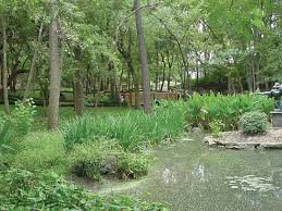 Best Parks And Gardens In Austin Texas
