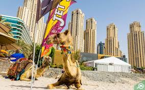 Hotels near sports centre, megève. Dubai Sports City Area Neighbourhood Guide Bayut