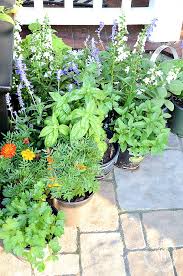 Herb Container Garden Guide Stonegable