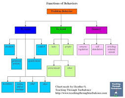 Functions Of Behavior Flow Chart Behavior Management