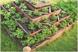 all new square foot gardening book 3rd