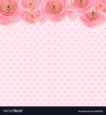 pink rose background royalty free