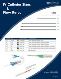 Iv Catheter Chart Pages 1 1 Text Version Anyflip