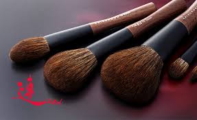 cosmetic make up brush ano brush oem