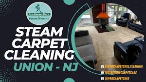 steam carpet cleaning union nj you
