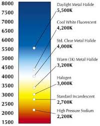 Colour Temperature Lumicrest High Cri Led Lighting Color