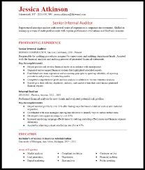 senior internal auditor resume sample