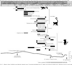 Pdf The Primate Fossil Record In The Iberian Peninsula