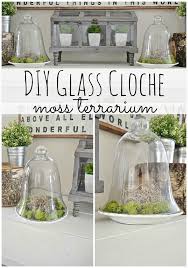Diy Glass Cloche Moss Terrarium Liz