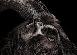 goats and the devil origins black