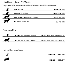 The symptoms of canine heart disease is similar to other heart ailments like respiratory coughing,murmur in the heart,slow/fast heart beats,weight loss,weakness,lethargy and fluid retention in the lungs with heart valve failure. Pin On Brindle Pit Bull Mastiff