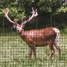 Deer Netting To Protect Your Garden