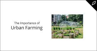 The Importance Of Urban Farming