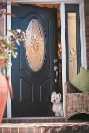 painted front doors door glass inserts