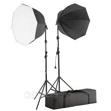 Continuous Light Kit Dual Video Basic Octa With Octa Softboxes Light Stands And Bag Wszc 2xvbasic8k60