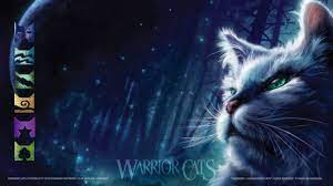warrior cats zoom backgrounds