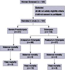 Differential Diagnoses   Hypertension Case Study Referral to a specialized renal clinic