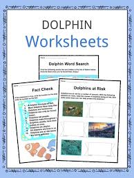 Dolphin Facts Worksheets Species Habitat For Kids