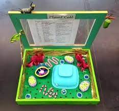 Whether you're building this model for science class, a science fair, or a homeschool project, your 3d cell model is sure to impress. How To Create 3d Plant Cell And Animal Cell Models For Science Class Cells Project Cell Model Project Plant Cell Project Models