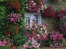 French Country Cottage Wallpaper