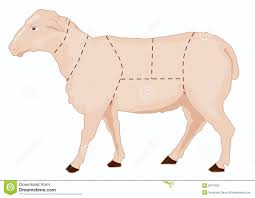 Sheep Chart Stock Illustration Illustration Of Butcher