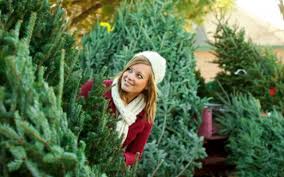 Christmas Bradenton & Sarasota 2020 - Guide to Holiday Events & Shopping