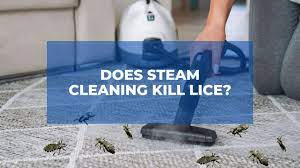 does steam cleaning kill lice