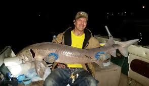 Michigan Angler Pulls Massive 105 Pound Sturgeon From St