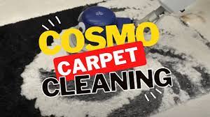 professional carpet cleaning princeton