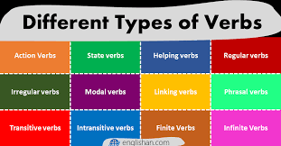 types of verbs definition and exles