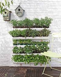Vertical Vegetable Garden Ideas 22