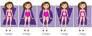 Body Shape Calculator Discover Your True Body Type Shape
