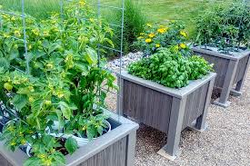 patio vegetable garden with planters