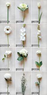 Check spelling or type a new query. White Flower Guide Wedding Flower Guide Flower Guide White Wedding Flowers
