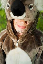 in koala costume picture and hd