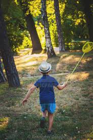 Image result for boy running after butterflies