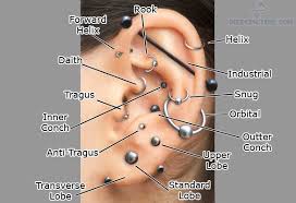 Chart For Ear Piercing With Names Earring Places Lamevallar