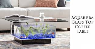 5 of the latest glass coffee table