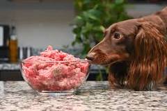How should I cook ground beef for my dog?