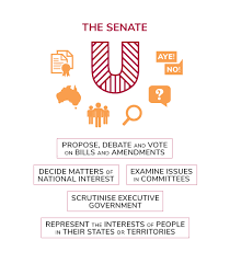 the senate parliamentary education