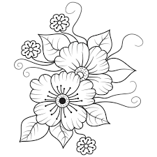 white background flowers drawing