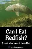 What is redfish taste like?