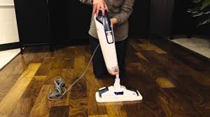 embly powerfresh deluxe steam mop