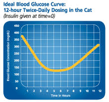 Great Info For Diabetic Cat Pet Care Diabetic Cats