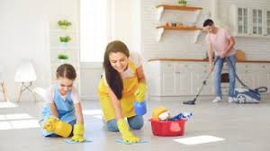 best 15 rug cleaning in sunshine coast