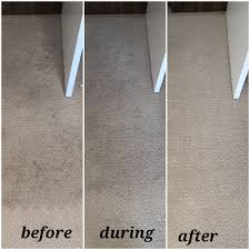 carpet cleaners in victoria goodhue