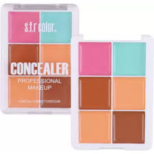 s f r color professional makeup 6 color