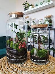 how to make a terrarium the best