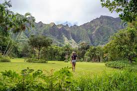 beautiful botanical garden in oahu hi