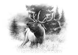 I've only taken 3 cow elk, but lots of elk size plains game. Bull Cow Elk Dallen Lambson Wildlife Art